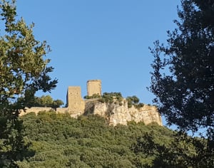 Le château de Gicon à Chusclan - Chusclan - 9