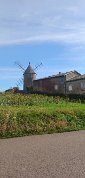 Virée de rêve au cœur du vignoble du Moulin à Vent à Chénas - Chénas - 4