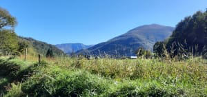 Balade entre Lestelle-bétharram et Montaut - Lestelle-Bétharram - 21