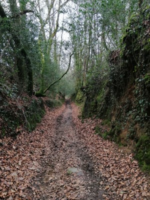 Balade bucolique, par Tréluban - Péaule - 9