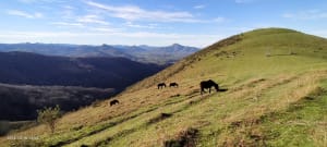 Le Mondarrain depuis Aïnoha - Ainhoa - 5