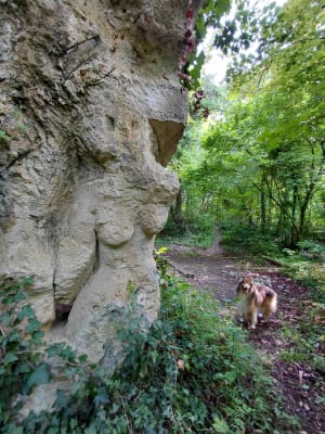 Grottes de Ronquerolles et Bois de Montagny - Belle-Église - 13