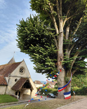 Grottes de Ronquerolles et Bois de Montagny - Belle-Église - 17
