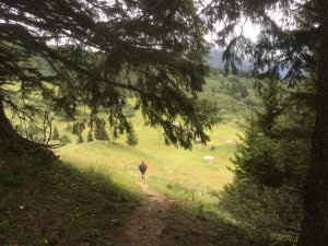 Pointe de Réssacheaux - Morzine - 7