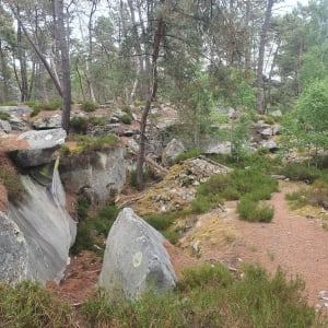 Promenade des gorges de franchard - Fontainebleau - 15