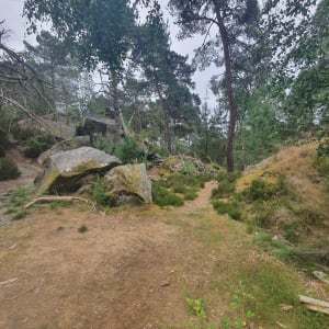 Promenade des gorges de franchard - Fontainebleau - 16