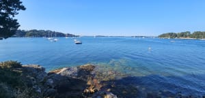 L'île aux Moines - Île-aux-Moines - 3
