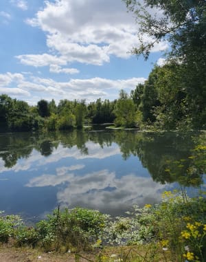 Balade le long du Ru des Hauldres et étang de la Motte - Moissy-Cramayel - 7