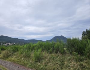 Boucle du puy de Lassolas et éveil des sens - Laschamps - 11
