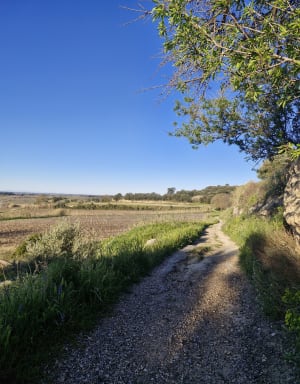 Le Pouget : excursion chargée d'histoires fortes - Sabine - 11