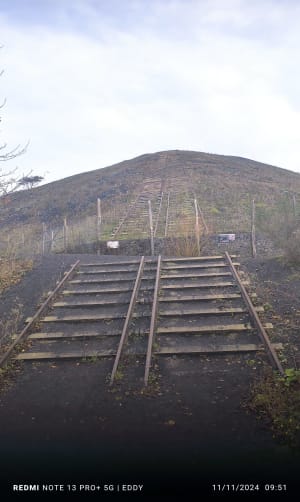 Loos-en-Gohelle :la trame verte - Loos-en-Gohelle - 13