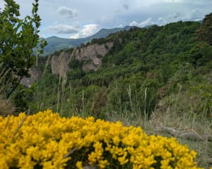 Château de Murol - Dent du Marais via le Lac Chambon - Murol - 17