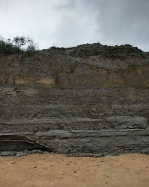 Zwarte Koeien Wandeling - Villers-sur-Mer - 13