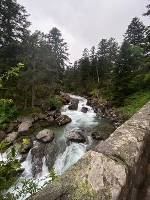 Route langs de watervallen van Cauterets en een compleet andere omgeving - Cauterets - 35
