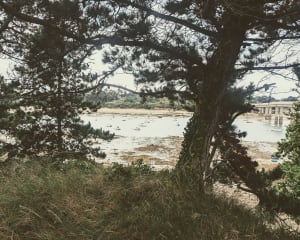 Superbe estuaire du Frémur et son pont sur la mer - Saint-Briac-sur-Mer - 32