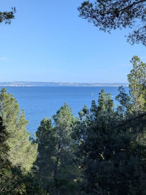 Déconnexion totale autour du parc de Figuerolles - Martigues - 30