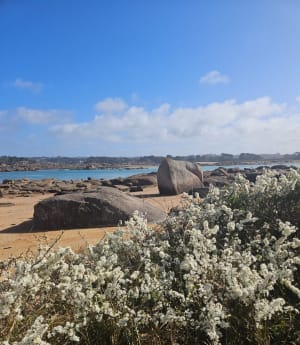 Boucle à l'Ile Renote - Trégastel - 43
