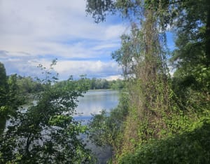 Boucle des étangs de Pérignat-sur-Allier. - La Roche-Noire - 10