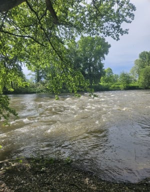 Boucle des étangs de Pérignat-sur-Allier. - La Roche-Noire - 11