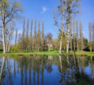 Du moulin d'âne à Chantemerle, via le chemin des pêcheurs - Niort - 12