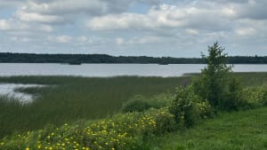 Ronde van het meer van Aureilhan - Merquedey, Mimizan - 27