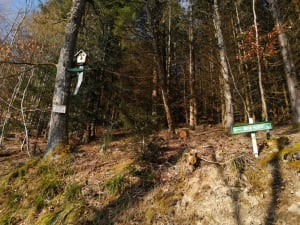 Engelbourg et l'oeil de la sorcière Thann - Thann - 17