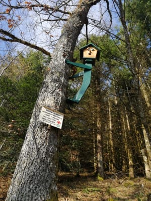 Engelbourg et l'oeil de la sorcière Thann - Thann - 19