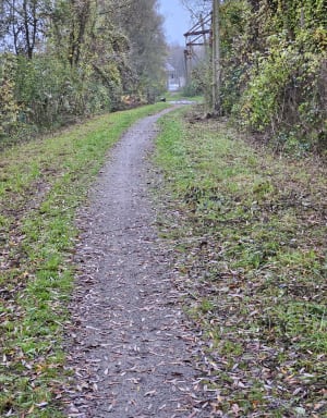 De Maulde à Mortagne du nord - Georges - 10