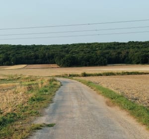Petite Boucle départ Gare Marolles-en-Hurepoix - Marolles-en-Hurepoix - 2