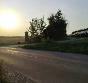Petite Boucle départ Gare Marolles-en-Hurepoix - Marolles-en-Hurepoix - 3