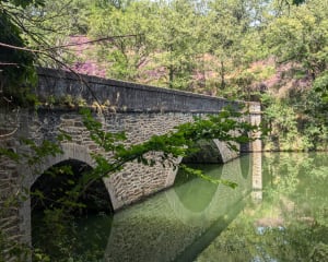 Barrage de Fontbonne et tour du lac - Sainte-Gemme - 4