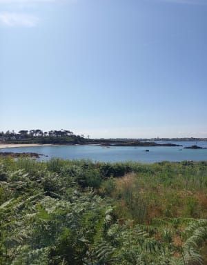 Grand tour de l'île de Batz et beauté de ses plages - Île de Batz - 52