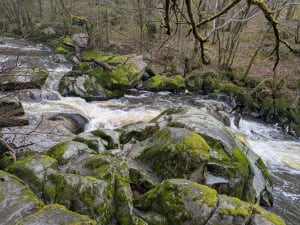 De Brame-sprong - Val-d'Oire-et-Gartempe - 13