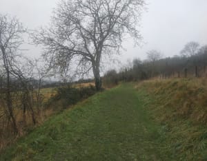 Entre rivière et vieilles pierres à Ménilles - Ménilles - 13