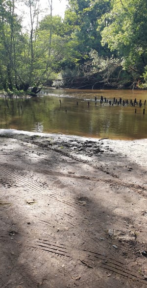 Vadrouille dans les landes et mise au vert authentique - Belin-Béliet - 8