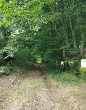 La Capelle et excursion champêtre au trot ! - La Capelle - 2