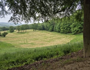 Les Trois Monts - Berthen - 7