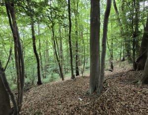 Les Trois Monts - Berthen - 8