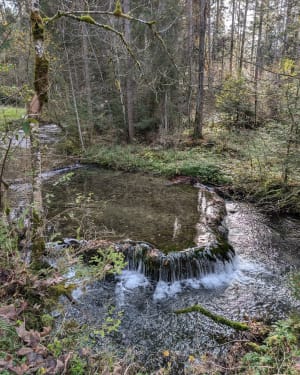 Source bleue et lac de Saint-Point - Malbuisson - 28