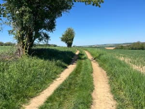 Balade à VTT dans le Pays de Bray jusqu'à la Mare aux Daims - Flamets-Frétils - 3