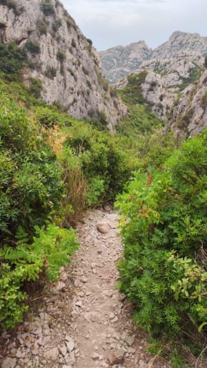 Wandelen in Marseille en een uitstapje naar de baai van Sormiou - Marseille - 2