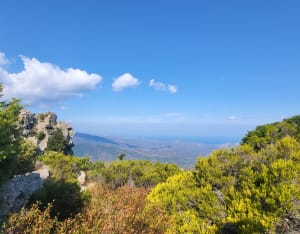 Monte Astu depuis Lama - Isabelle - 7