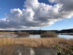 Balade dans le site naturel du Bolmon - Marignane - 12
