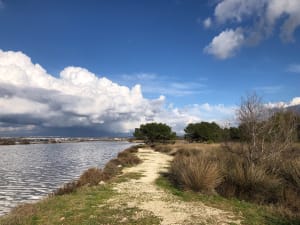 Balade dans le site naturel du Bolmon - Marignane - 13