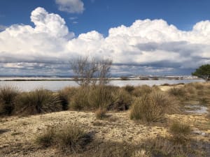Balade dans le site naturel du Bolmon - Marignane - 14