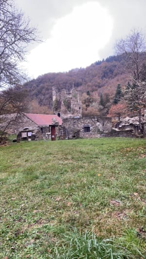 Chartreuse Sainte Marie depuis les Ancizes - Les Ancizes-Comps - 8