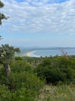 Boucle des Tournels, Camarat, et Pointe de la Bonne Terrasse. - Ramatuelle - 5