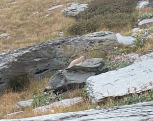Vallei der Wonderen en Mineralen Intermezzo - Vallée de la Gordolasque - 3