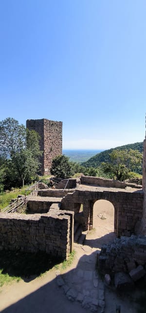 Randonnée des castels d'Husseren-les-Châteaux - Husseren-les-Châteaux - 19