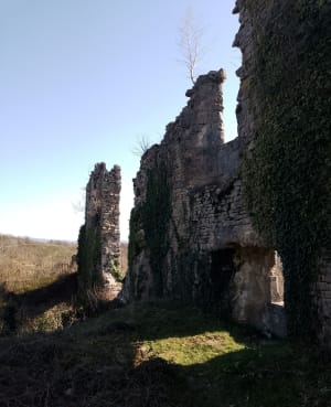 Balade près du Pont de Pyle - La Tour-du-Meix - 31